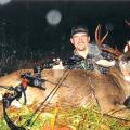 Vancouver Island Blacktailed deer